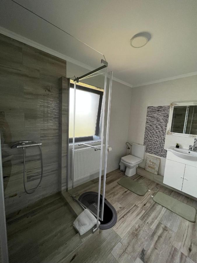 Отель Casa Boila Birsana Экстерьер фото